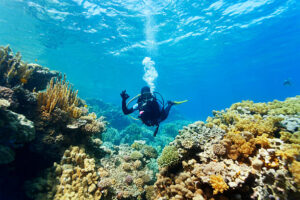 Mystical Coral Reefs of the Andaman and Nicobar